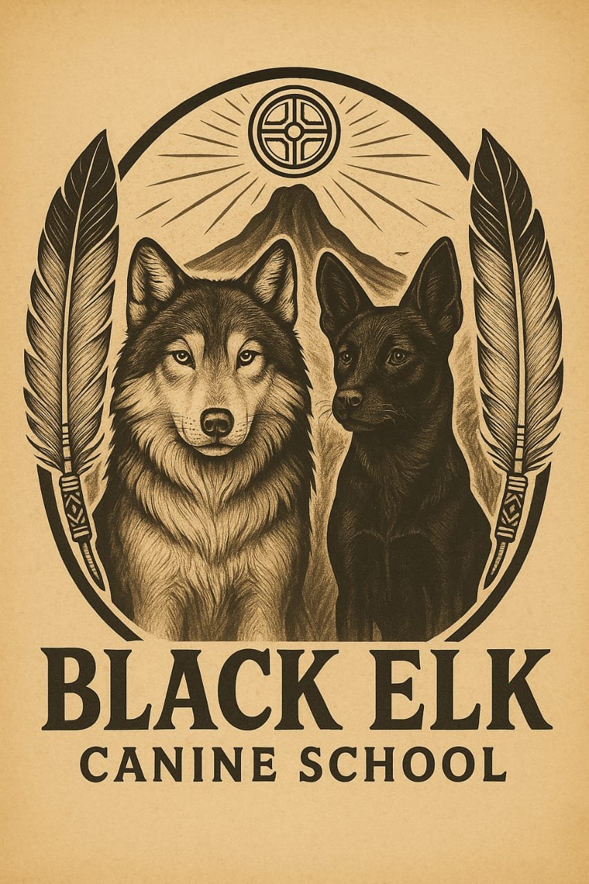 Logo de la aplicación